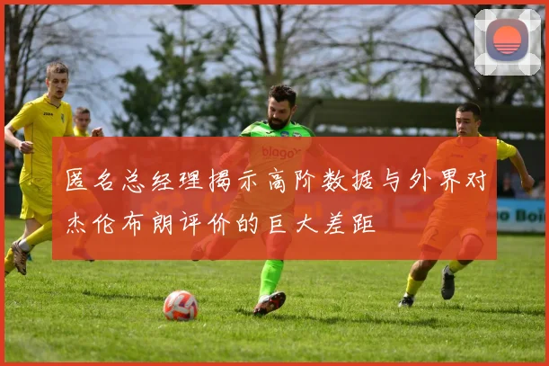 匿名总经理揭示高阶数据与外界对杰伦布朗评价的巨大差距